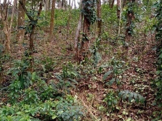 Venda em Granja Carneiro Viana - Cotia