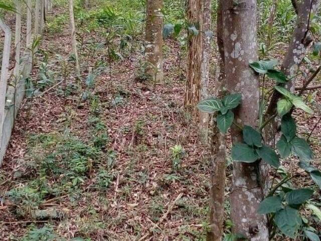 Terreno para Venda em Cotia - 4