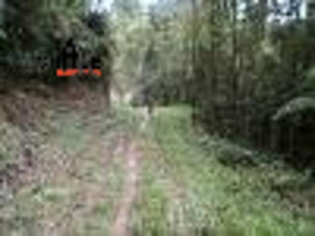 Área para Venda em Pedro de Toledo - 4