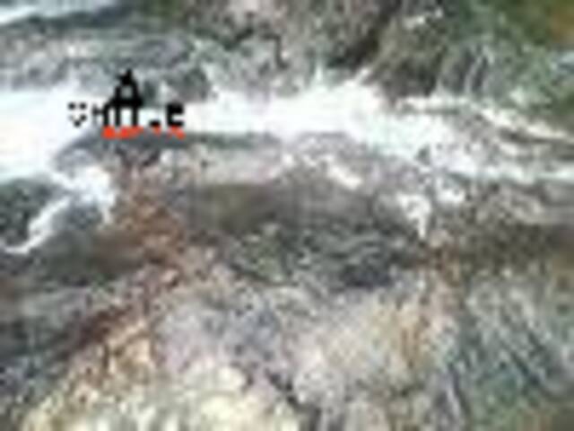 Área para Venda em Pedro de Toledo - 5