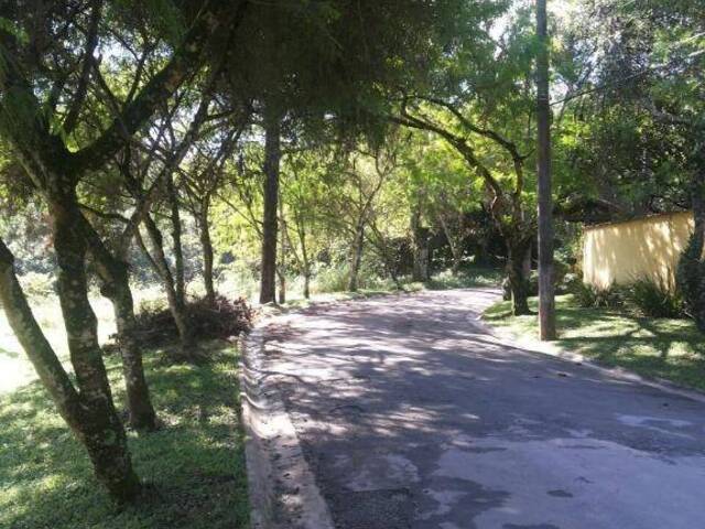 #TE0001 - Terreno para Venda em Cotia - SP - 2