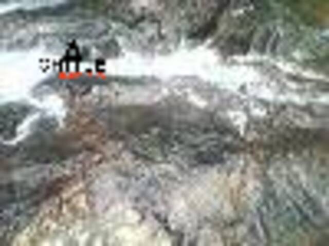 Área para Venda em Pedro de Toledo - 5