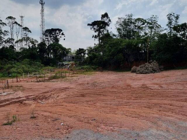 Área para Locação em Cotia - 4